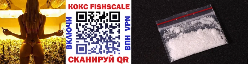 как найти   Котовск  КОКАИН Fish Scale 