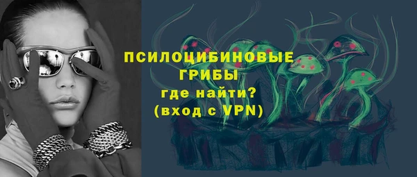 соль ск Абаза