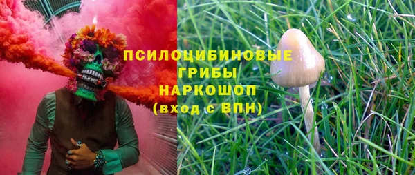 дурь Осинники