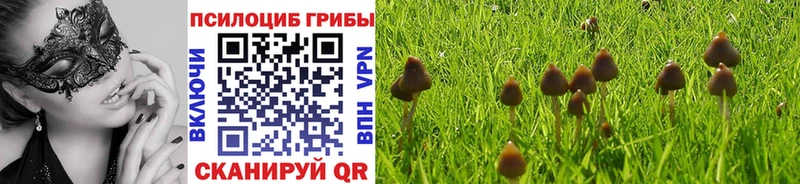 дарк нет наркотические препараты  Котовск  Псилоцибиновые грибы ЛСД  купить наркотик 
